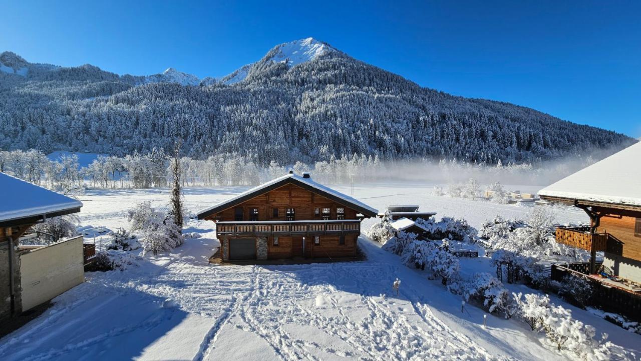 Demi-Chalet Vadel La Panthiaz 15 Pers 5 Chambres Ла-Шапель-д'Абонданс Екстер'єр фото