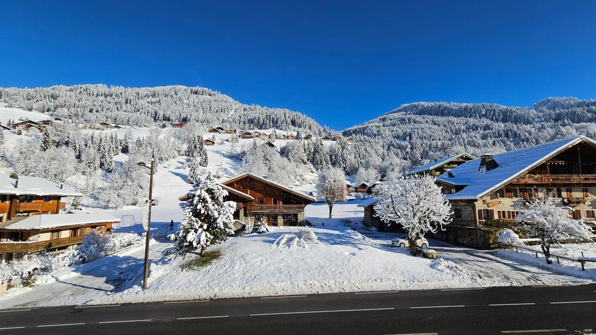 Demi-Chalet Vadel La Panthiaz 15 Pers 5 Chambres Ла-Шапель-д'Абонданс Екстер'єр фото